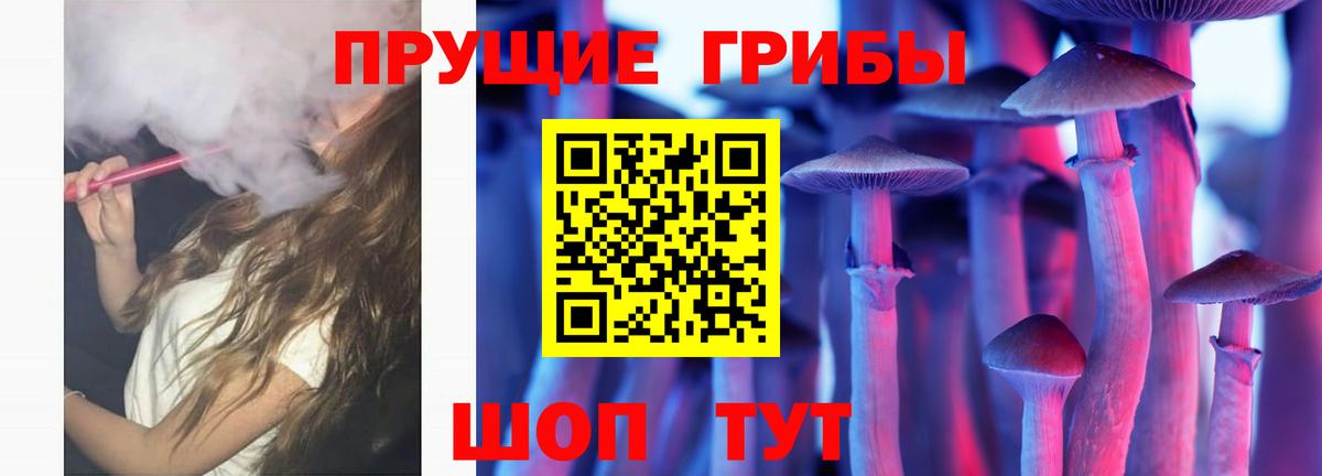 Псилоцибиновые грибы Psilocybe Кузнецк
